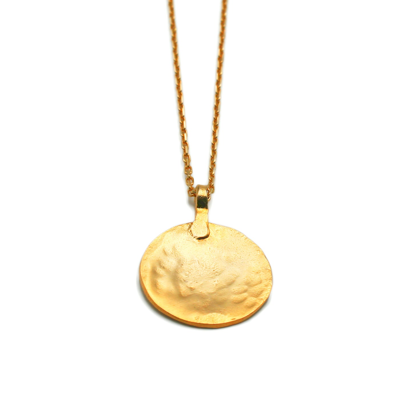 Medallion Necklace — Sterling Silver